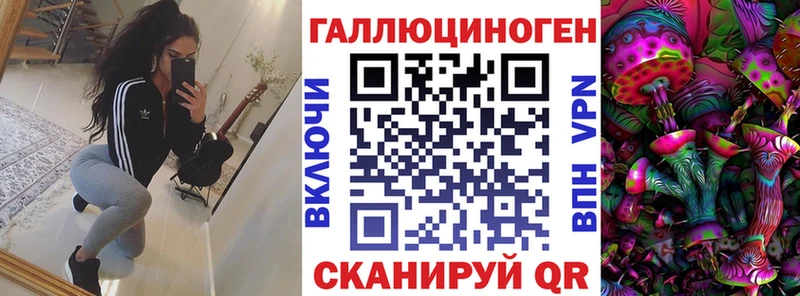 Галлюциногенные грибы Psilocybe  ссылка на мегу онион  Кинешма 